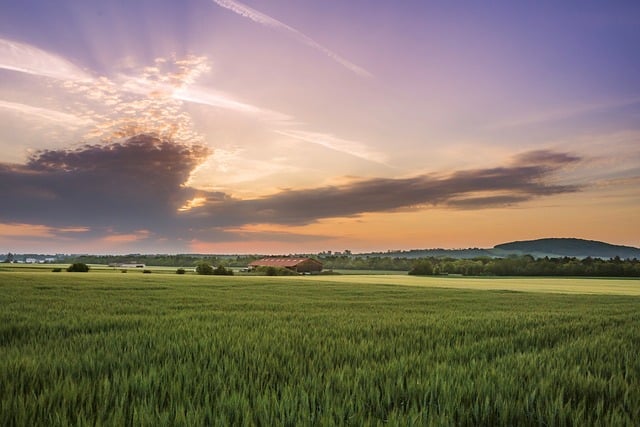 agriculture, calm, cloud, crop, field, hills, house, landscape, light, morning, nature, ray, scenic, sky, sun, tranquility, trees, warm, evening, horizon, dawn